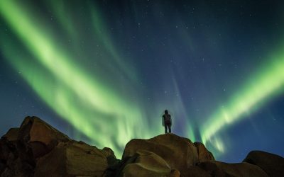 2024 Aurora Tours Newsletter